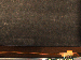 SurveyImage_13_05.png