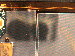 SurveyImage_16_04.png
