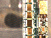 SurveyImage_19_03.png