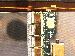 SurveyImage_23_04.png