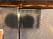 SurveyImage_24_04.png