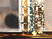 SurveyImage_25_02.png