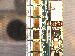 SurveyImage_25_03.png