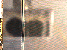 SurveyImage_26_03.png