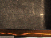 SurveyImage_28_05.png