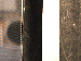 SurveyImage_30_03.png