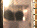 SurveyImage_01_03.png