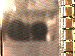 SurveyImage_05_03.png
