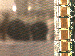 SurveyImage_09_03.png