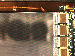 SurveyImage_09_04.png