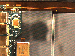 SurveyImage_10_04.png