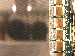 SurveyImage_13_03.png