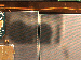 SurveyImage_24_04.png