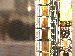 SurveyImage_25_03.png