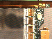 SurveyImage_25_04.png