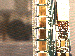 SurveyImage_27_03.png