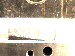 SurveyImage_29_01.png