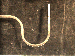 SurveyImage_29_02.png