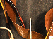SurveyImage_29_04.png