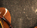SurveyImage_29_05.png