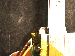 SurveyImage_30_05.png