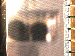 SurveyImage_01_03.png