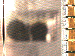 SurveyImage_03_03.png