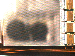 SurveyImage_05_02.png