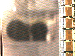 SurveyImage_05_03.png