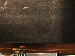 SurveyImage_06_05.png