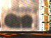 SurveyImage_07_02.png