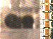 SurveyImage_07_03.png
