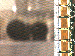SurveyImage_09_03.png