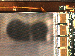 SurveyImage_09_04.png