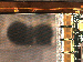 SurveyImage_11_04.png
