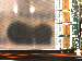 SurveyImage_13_02.png