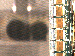 SurveyImage_13_03.png