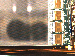 SurveyImage_15_02.png
