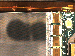 SurveyImage_15_04.png