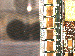 SurveyImage_21_03.png