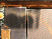 SurveyImage_22_04.png