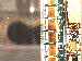 SurveyImage_23_03.png