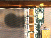 SurveyImage_23_04.png