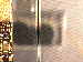 SurveyImage_26_03.png