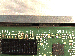 SurveyImage_26_06.png