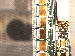 SurveyImage_27_03.png