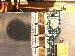 SurveyImage_27_04.png