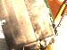 SurveyImage_29_01.png