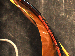 SurveyImage_29_04.png