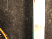 SurveyImage_30_04.png